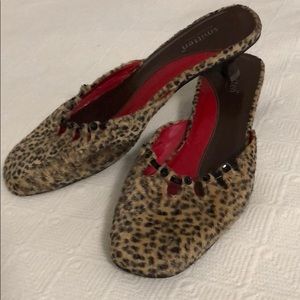 Leopard slides